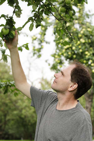 Man working in a garden
