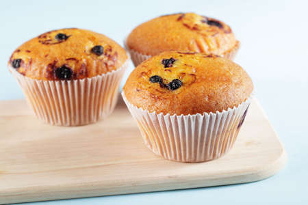 Three muffins with blueberry on a wooden board