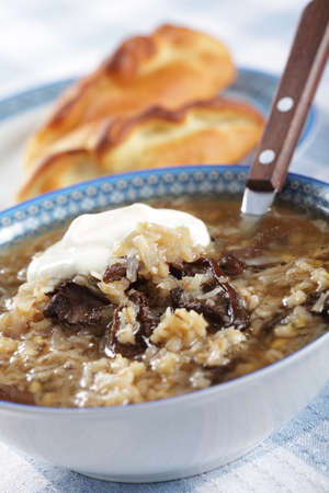 Russian sauerkraut sout with mushrooms and pearl barleyの写真素材