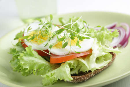 Healthy sandwich with lettuce, garden cress, boiled egg, tomato, and red onion on the rye bread. Shallow DOFの写真素材