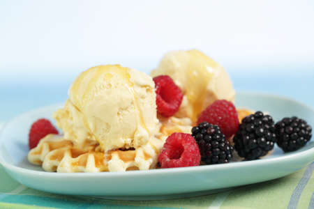 Ice cream on waffle with blackberry, raspberry, and honey