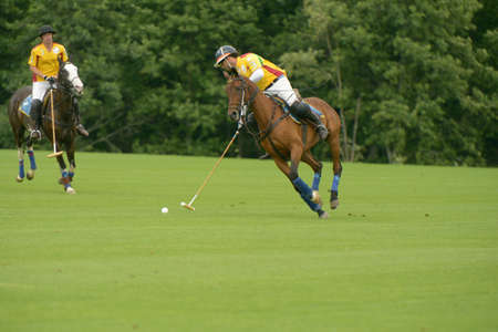 Moscow, Russia - July 27, 2013  Mikhail Rodzyanko  center  and Franco Larralde in the match between teams of Moscow Polo Club and Tseleevo Golf   Polo Club during 8th Russian Open Polo Championship in Tseleevo, Moscow, Russia on July 27, 2013のeditorial素材