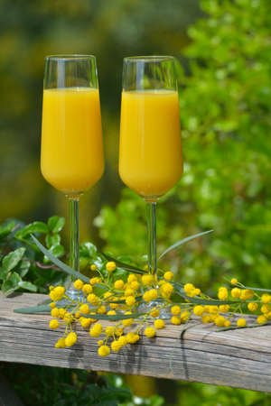 Two glasses of mimosa cocktail outdoors against lush foliageの写真素材