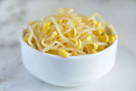 Soybean sprouts in a bowlの写真素材