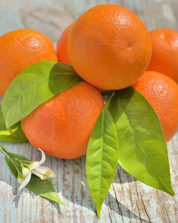 Mandarin oranges with leaves and flowerの写真素材