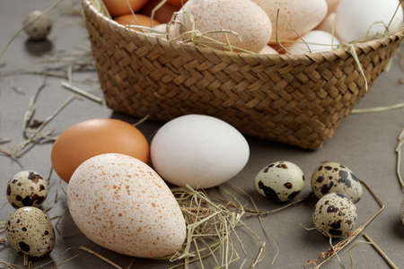 Various eggs and a rustic basketの写真素材