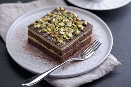 Chocolate cake with Pistachio nuts closeupの写真素材