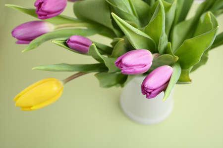 Bouquet of purple and yellow tulip flowersの写真素材