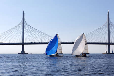 St. Petersburg, Russia - August 1, 2018: Athletes compete in the final of Saint Petersburg University Open Cup. This year teams from 9 countries take part in the Cupのeditorial素材