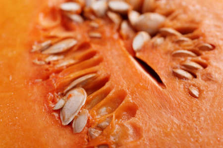 Cross section of Butternut squashの写真素材
