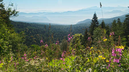 Mountain landscape in a summer dayの写真素材