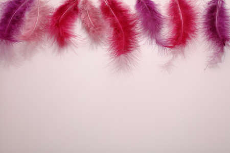 Red colored feathers on top border of pink background for Fastelavn celebrationの写真素材