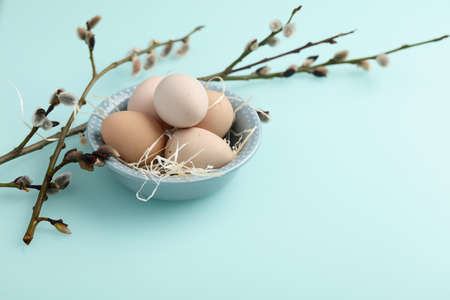 Guinea fowl eggs on duck egg blue backgroundの写真素材