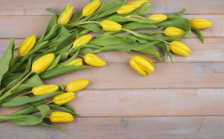Easter background with yellow tulips on a wooden table