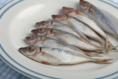 Chicharros, raw Atlantic horse mackerel on a plate closeupの写真素材