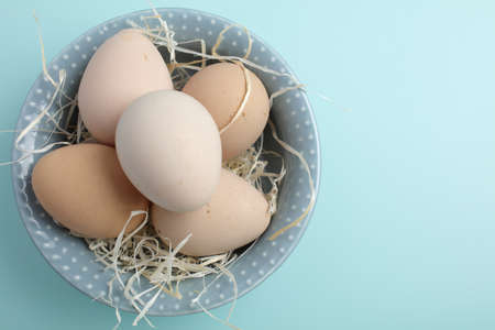 Guinea fowl eggs on duck egg blue backgroundの写真素材