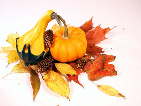 pumpkins, gourds, leaves, and pine cones isolated on a white backgroundの写真素材
