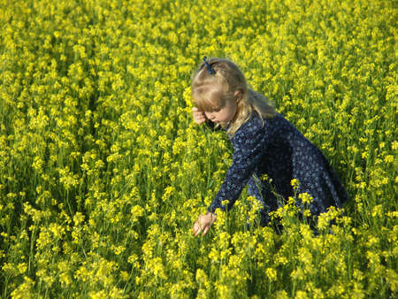 Young girl picking yellow flowers in a field.の写真素材