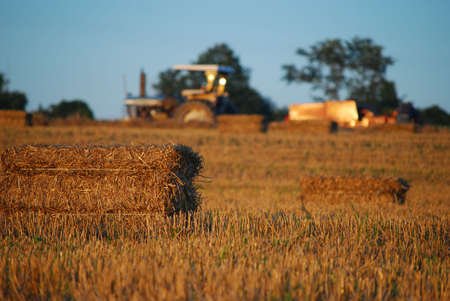 Field of straw bales with farmer and tractor out of focus in background.