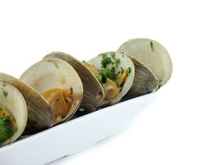 Clams in an elegant dish isolated on white.の写真素材