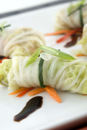 Cabbage roll appetizers. Shallow DOF. Focus on first appetizer.の写真素材