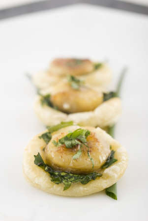 Carmelized scallops on chives. Shallow DOF. Focus on front  of first scallop.の写真素材