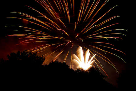 Fireworks against a black sky with trees silhouetted.