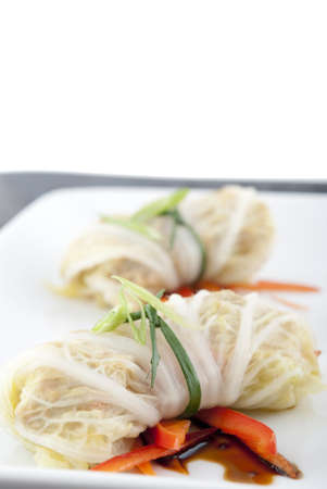 Cabbage roll appetizers. Shallow DOF. Focus on first appetizer.の写真素材
