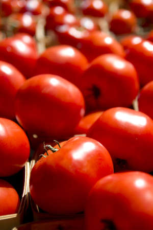 Beautiful ripe tomatoes for sale at a farmers market.の写真素材