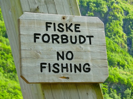 fishingの写真素材