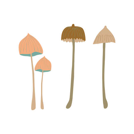 vector set of poisonous mushrooms on white background isolated elementsのイラスト素材
