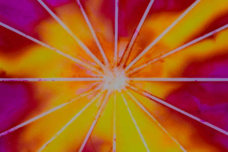 Handmade watercolor with yellow, orange and purple with sunburst stripes. Useable as a background or texture.の写真素材