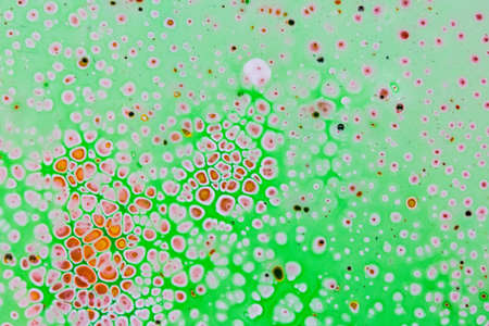 Handmade modern abstract painting of green, red, white and orange. Made with fluid acrylic paints,...