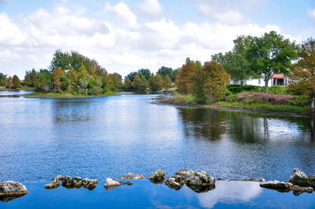 Lake shore in USA, Floridaの写真素材