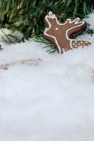 Christmas theme wrapped gifts with pine tree branches and homemade cookies on white snowの写真素材