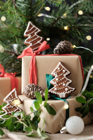 Close up photo of a cookies on wrapped gift boxes under a christmas treeの写真素材