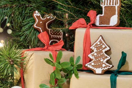 Close up photo of a cookies on wrapped gift boxes under a christmas treeの写真素材