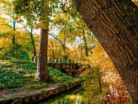 Autumn parkの写真素材