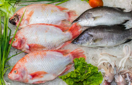 raw fish on display
