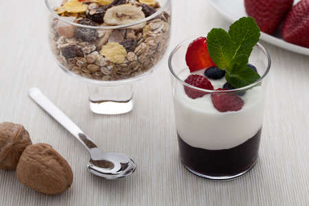 A recipe of fresh yogurt with blueberry jam and berries and nuts with a decorative spring of mint and a bowl of muesli の写真素材