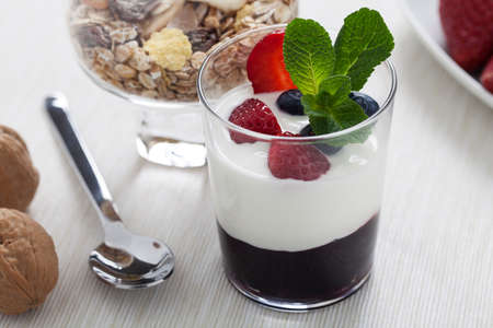 A recipe of fresh yogurt with blueberry jam and berries and nuts with a decorative spring of mint and a bowl of muesli の写真素材