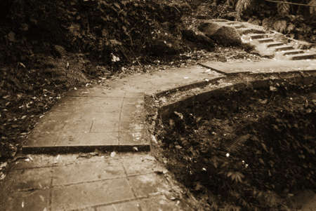 It is a way that go to the mountain that was hard to climb.の写真素材