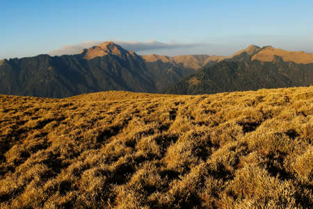 Mountain landscape with golden grassland in the morning.の写真素材