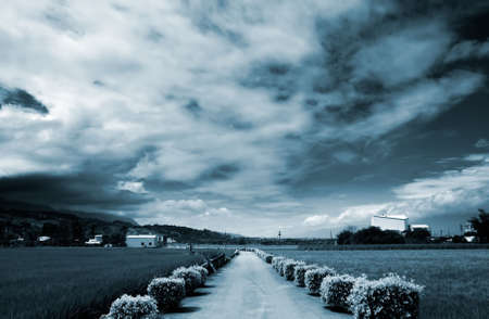 It is a beautiful road across the famr.の写真素材