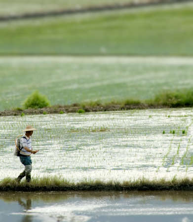 It is a farmer spray insecticide with traditional way on the farm.の写真素材