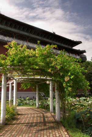 It is a green road in front of chinese traditional building.の写真素材