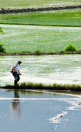 It is a farmer spray insecticide with traditional way on the farm.の写真素材