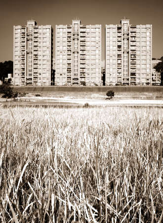 It is beautiful cityscape of apartments with grassland.の写真素材