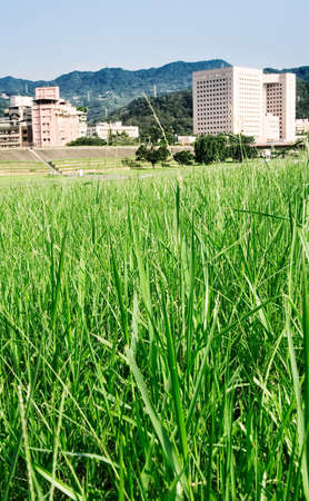 It is beautiful cityscape of apartments with grassland.の写真素材