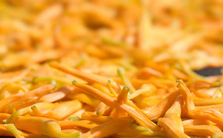 Dry in the sun of Chinese traditional medicine - golden needles. 